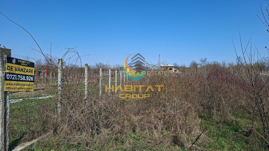 Magurele Campul Cu Maci Strada Trifoiului 1200.MP Teren Constructii Vile - 4