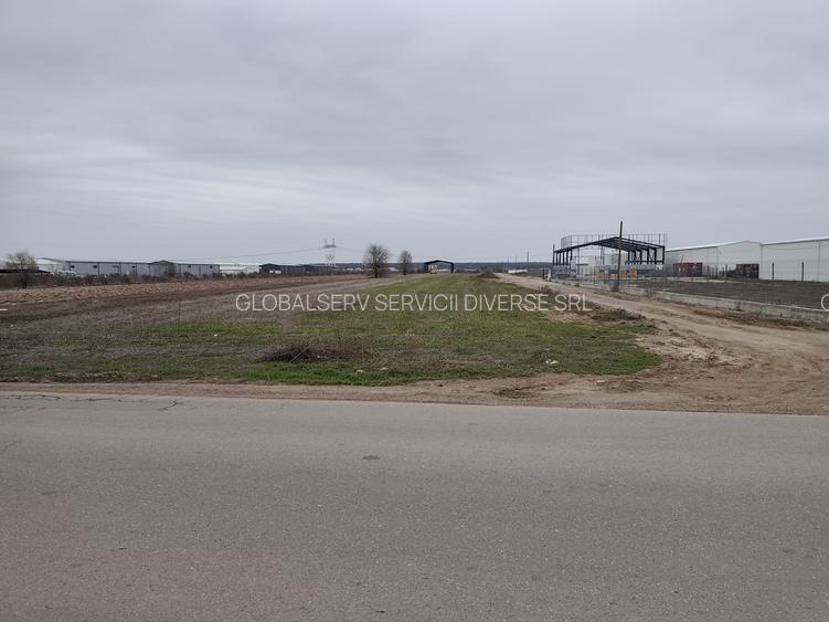 FARA COMISIOANE LOTURI TEREN CONSTRUCTII HALE in ZONA DE HALE merita vazut - 10