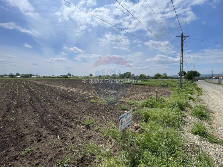 Teren Tifesti / Strada Secundara 47 - 5