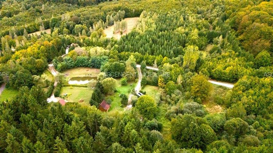 Tur 3D!Cabana de vacanta,zonare valoroasa, cu teren de 2.100 mp,Vladeni,Brasov - 5