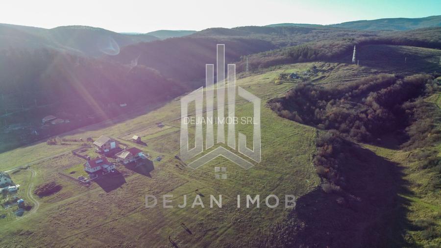 Teren Extravilan | 3.000 mp | Strada Pădurii - 2