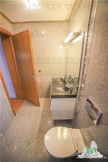 Vila pretabila rezidenta/office Iancu Nicolae - 18