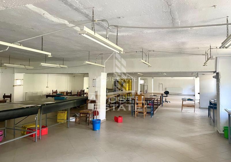 Spatii productie si depozitare, zona Sebis - Prunisor-Carand - 9