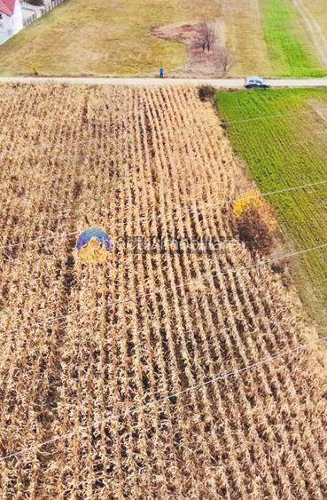 Teren intravilan de vanzare 5533 mp – Alexandru cel Bun - 9