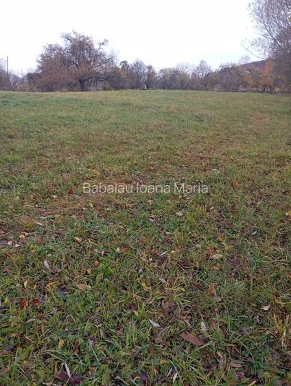 Vând teren intravilan în Bistrița Bârgăului  - 2