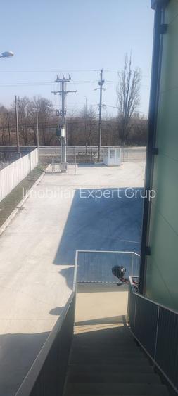 Hala Buftea DN 1A   1278 mp pe Teren 5000 mp Chilipir - 4
