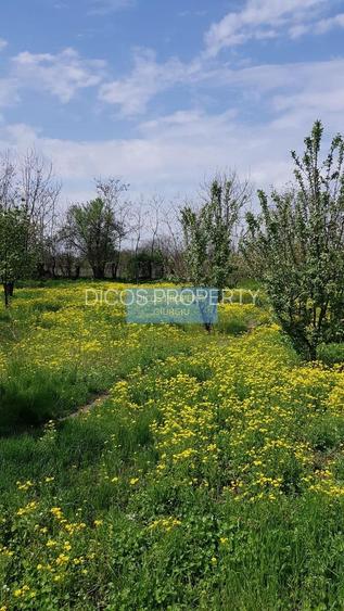 Teren 2.600 mp, utilități, Str. Merișor – Giurgiu - 3