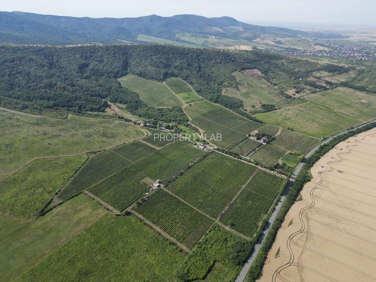 Vie Tradițională „Halta Lupilor” - 27