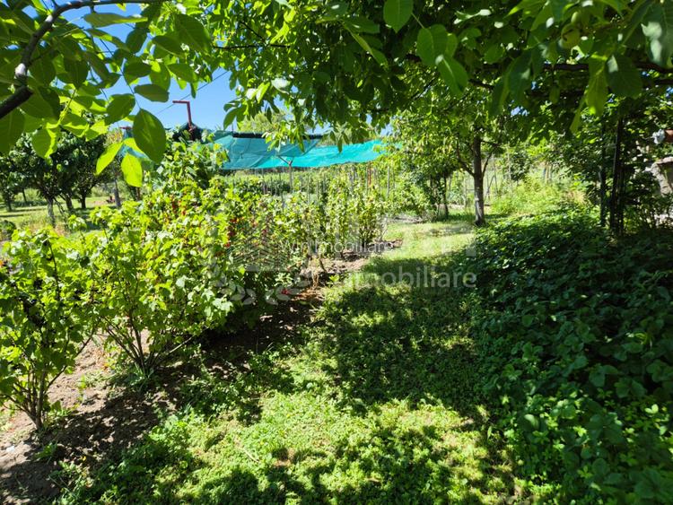 Casa individuala 91mp util | Teren 2382mp | Front 39ml | Aiton - 11