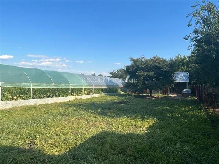 Vanzare casa Catunu - 7