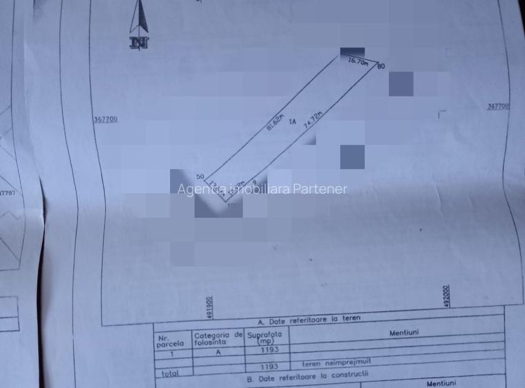 Teren Bradu / Pasarela , Intravilan / Arabil ! - 7