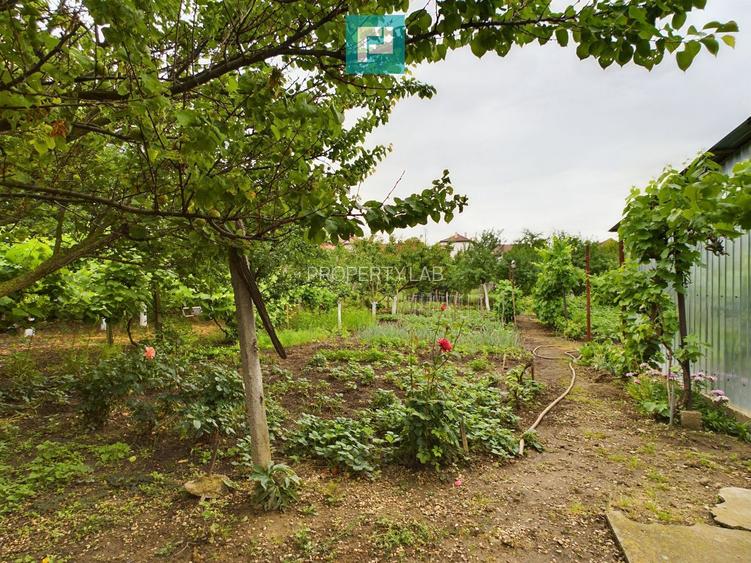 Casă ideală pentru o familie numeroasă, Sântana - 16