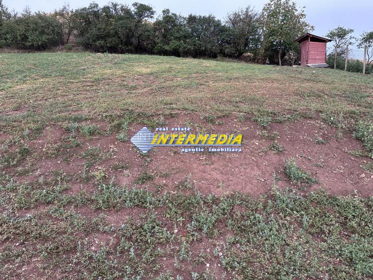 Teren intravilan de vanzare 2000 mp in Sard - 2