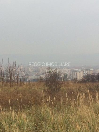 Teren Construcții intravilan de 15500 mp, în Cetate - 3