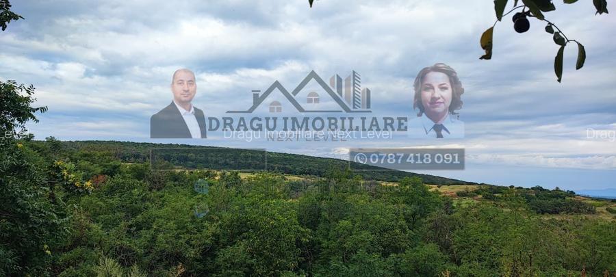 Teren generos 2186 mp cu casă bătrânească – Copăcești, județul Vrancea - 2