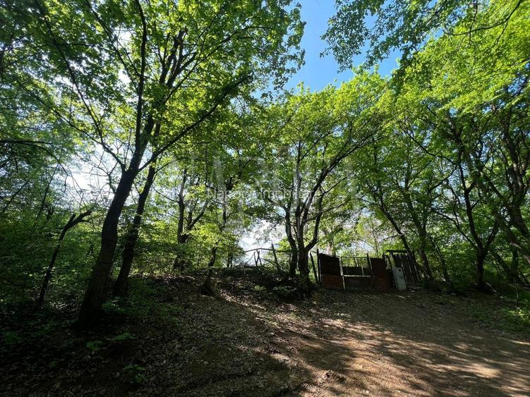 Teren intravilan Constructii de vanzare in Grigorescu, Cluj Napoca - 10