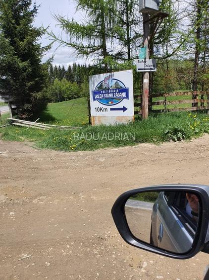 Vand teren 7800mp din care 3000 intravilan si 3800 mp padure  - 3