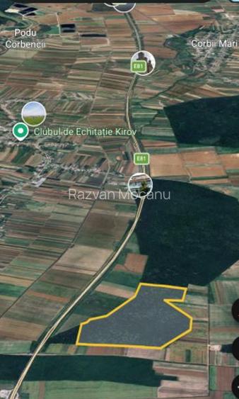 Vând pădure 48 ha – 2 parcele alăturate 22 ha + 26 ha, Autostrada A1 Km 59  - 2