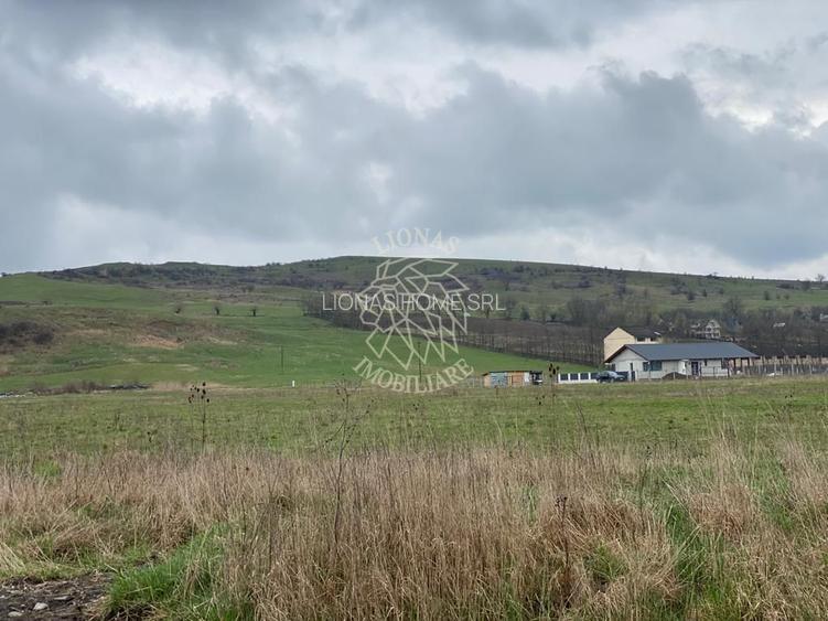 Teren Intravilan 550 mp-ideal casa-Zona Zavoaie - 3