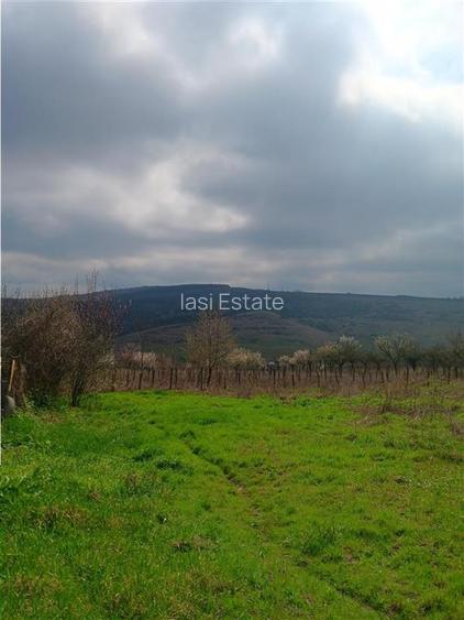 Aroneanu - Dorobant TEREN 46000mp PUZ realizat 59 de case la str principala cu t - 3