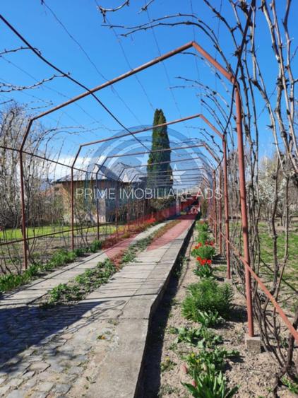 Casa de vanzare/Balcesti/Valcea/Str Pietii - 16