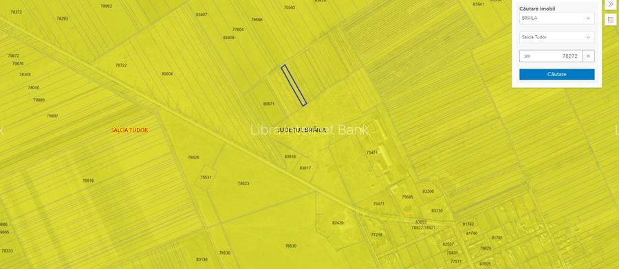 Teren agricol extravilan de 20890 mp, în Salcia Tudor - 3