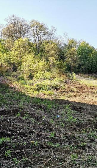 Teren intravilan 1000 mp-ideal afacere,investitie,hala-Zona Centura - 2