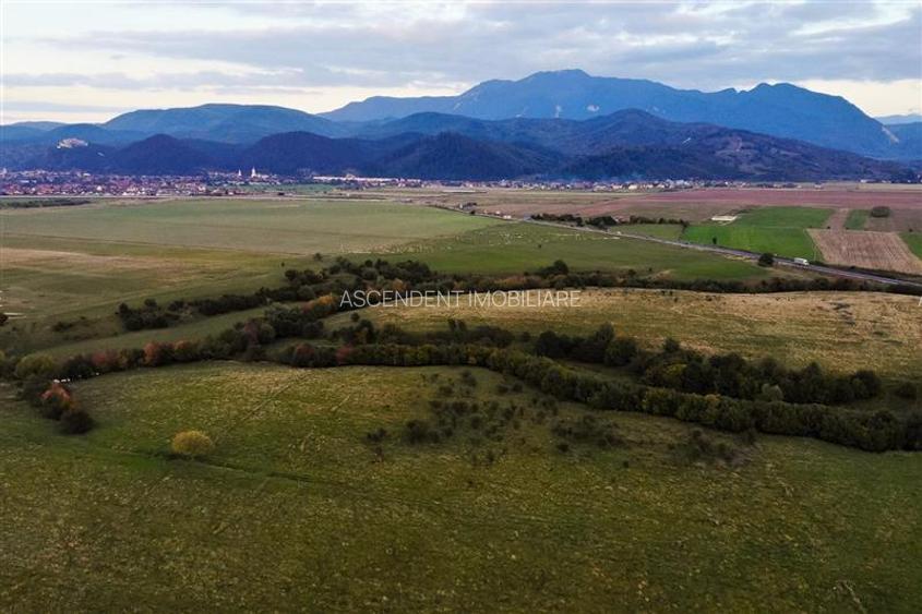 FILM! Parcela imprejmuita,design casa,aviz constructie,1.085 mp,Panicel,Rasnov - 21