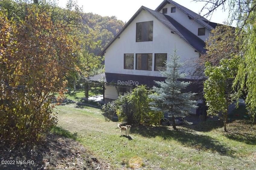 Topoloveni - Conacul Ion Mihalache, Domeniu pe 5 Hectare! - 10