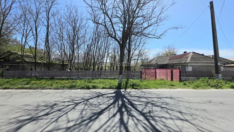 Teren intravilan 2760 MP in Sibioara, Jud. Constanta, ideal pentru investitie - 6