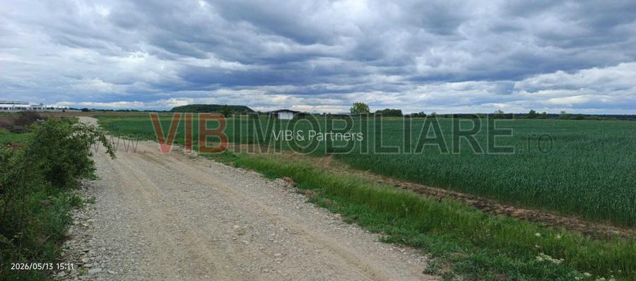 Teren Intravilan 31.900 mp, Corbeanca – Deschidere 70 ml, Zonă Rezidențială, Ide - 3