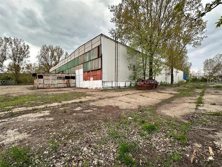 Hala productie, depozitare Vaslui, 5132mp - 13