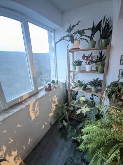 Apartament de vânzare, 2 camere, 46 mp, Mănăștur zona La Terenuri - 10