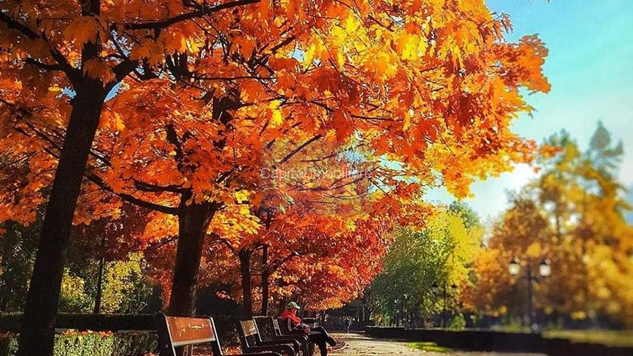 Complex turistic de vânzare, chiar în centrul stațiunii Durău. - 18