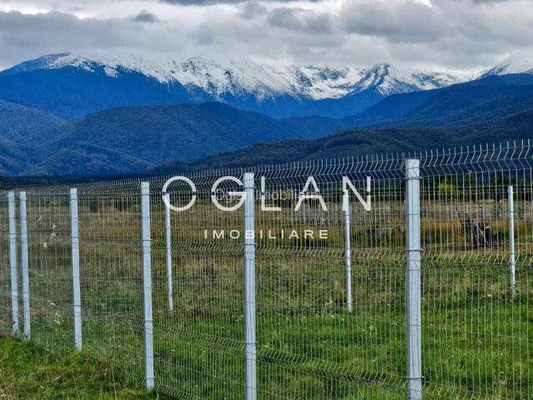 SUPER OFERTA! Teren 2000mp - Valea Avrigului, Sibiu - 5