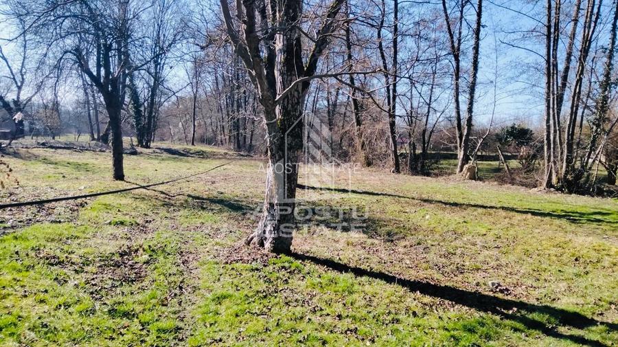 Casa potential turistic si comercial -zona Varfurile - 9