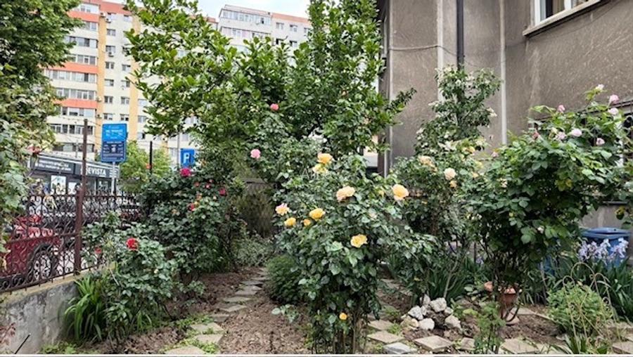 Apartament 2 camere in vila cu curte Parcul Circului - 14