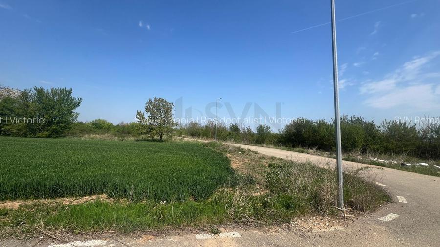 REL4000945 Teren de vanzare in Snagov - 4