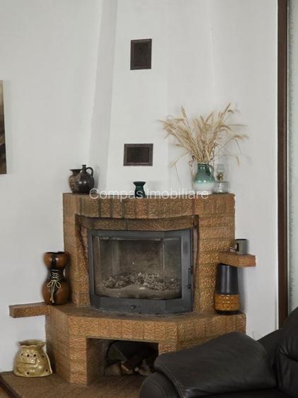 Proprietate superba in zona montana - 4