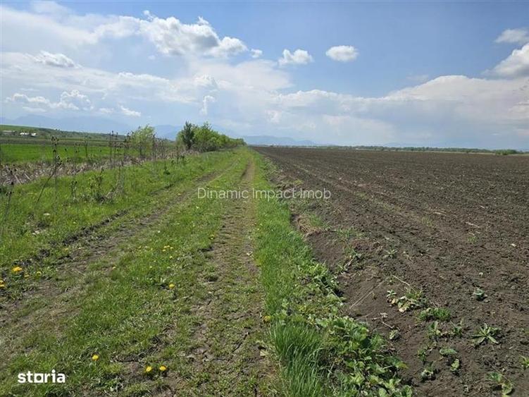 Oportunitate de investiție cu Exclusivitate! BOD, teren agricol! - 7