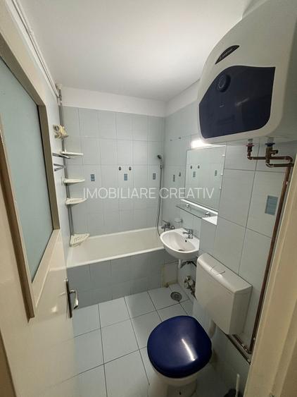 Garsoniera de inchiriat la Dristor IOR Park Lake - 6