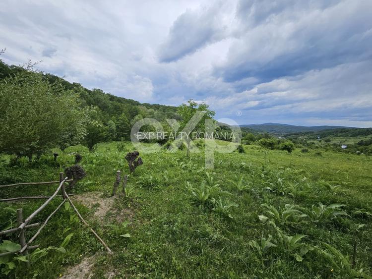 Teren 11,935mp Margineni / Strada Dubas - 2