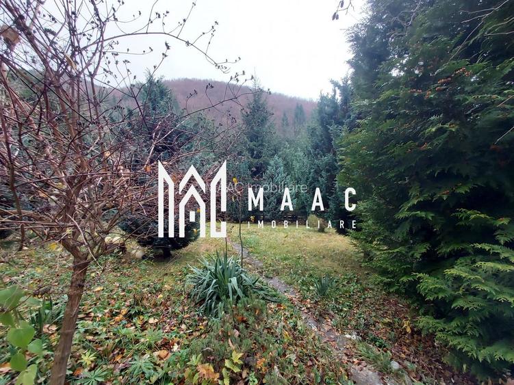 Casă | 260 mp utili | 1.100 mp teren | Râul Sadului | - 24