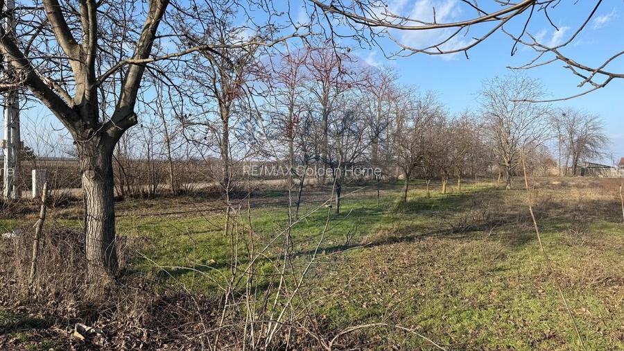 Teren 2,300mp Petresti / Strada Lacramioarei - 5