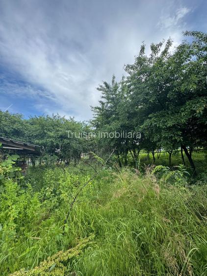 Teren intravilan – 939 mp, Tagsoru Nou - 4