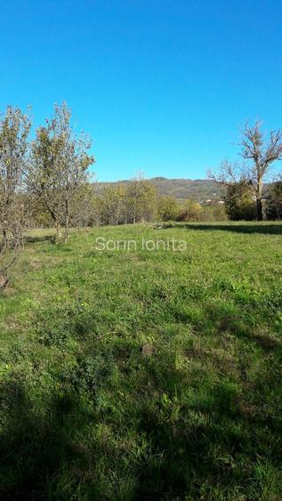 Teren intravilan în sat Făget, com. Drajna, Prahova - 3