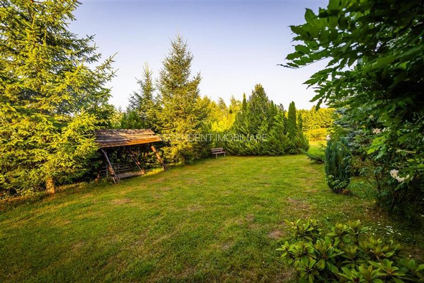 FILM! Investitie 2 in 1:Unitati independente +domeniu 1.742mp,aria Bran,Tohanita - 41