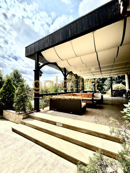 VILA MEDITERANEANA-IESIRE CATRE LAC 100MP/PONTON/PISCINA/DEBARCADER/SNAGOV/2006 - 22