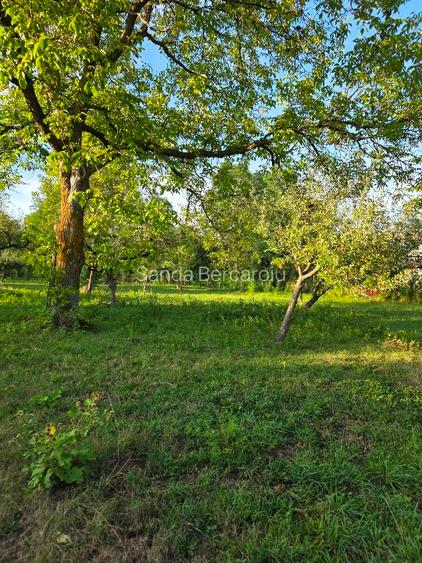 Teren 2500 mp – POTENȚIAL BUSINESS / DEZVOLTARE – Breaza - 12