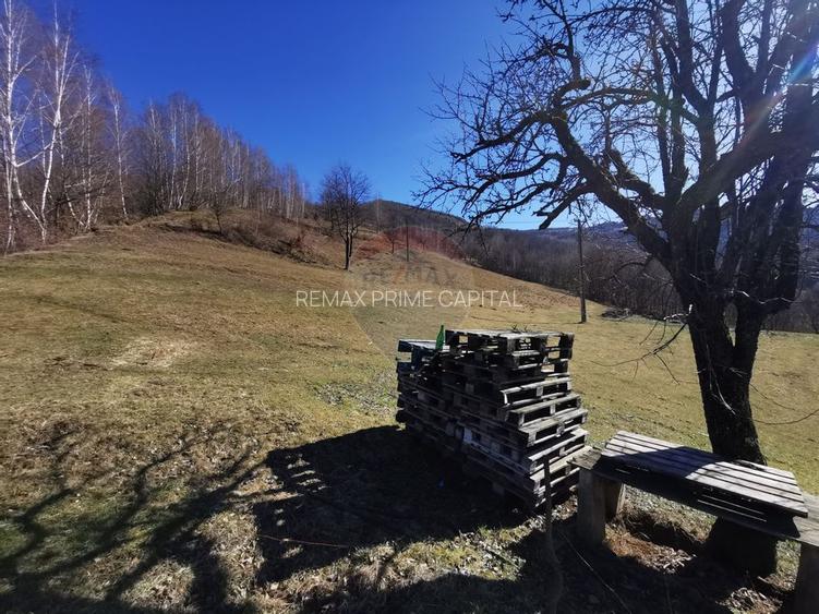 De vânzare teren intravilan 10,100 mp, cu anexă, Munteni - 8